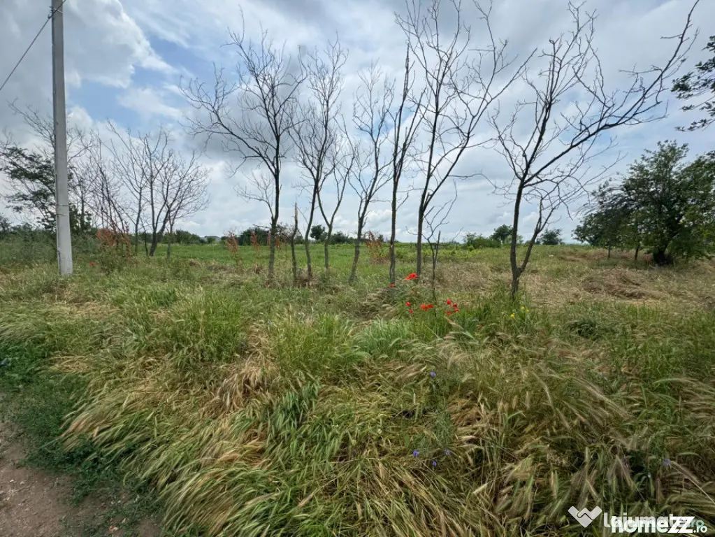Teren Intravilan– 2.156 mp, zona Preajba