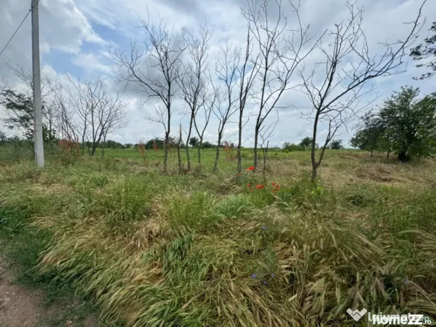 Teren Intravilan– 2.156 mp, zona Preajba