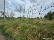 ???? Teren Intravilan Generos în Preajba – 2.156 mp 