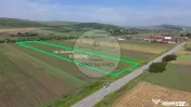 Teren 10.670 mp | Borșa Cluj | Front 38m | Utilități