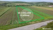 Teren 10.670 mp | Borșa Cluj | Front 38m | Utilități 