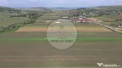 Teren 10.670 mp | Borșa Cluj | Front 38m | Utilități 