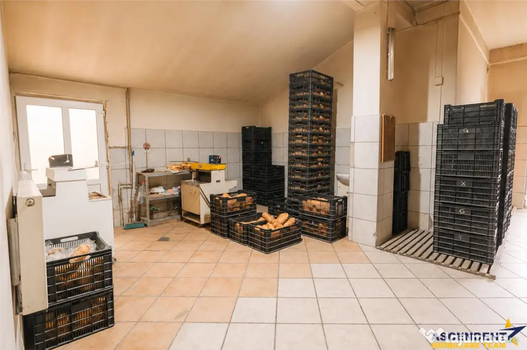 Spatiu comercial afacere functionala: brutarie,rute de distr