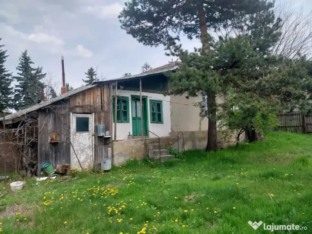 De vânzare – teren + casă bătrânească în Boghești, jud. Vrancea
