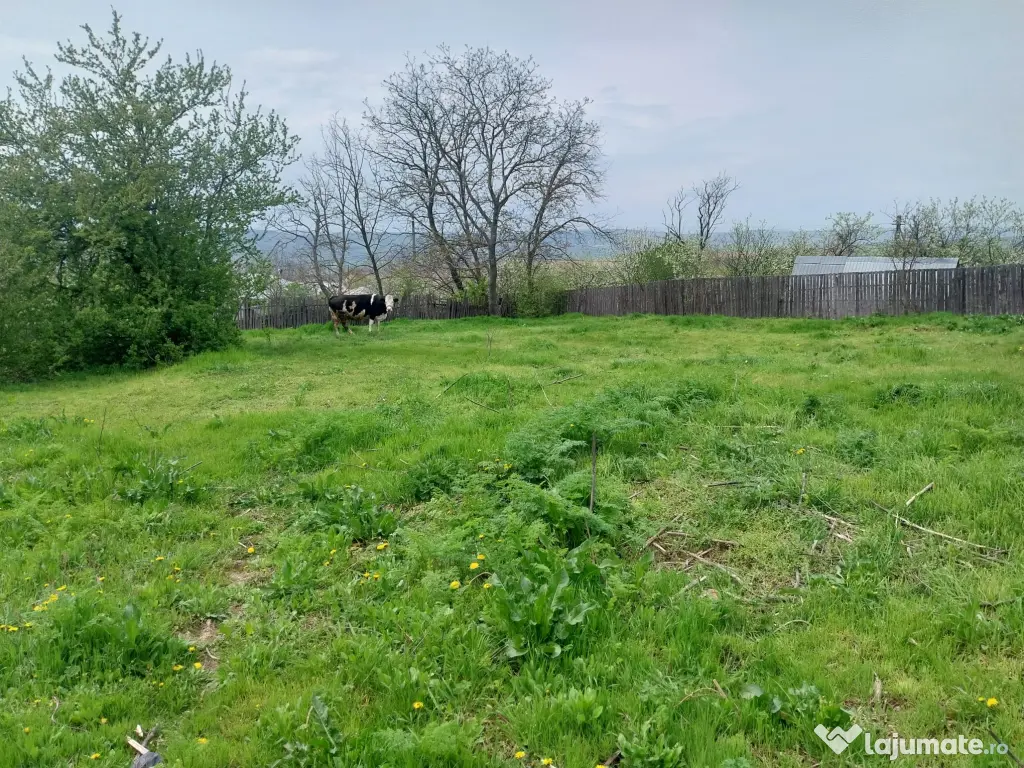 De vânzare – teren + casă bătrânească în Boghești, jud. Vrancea