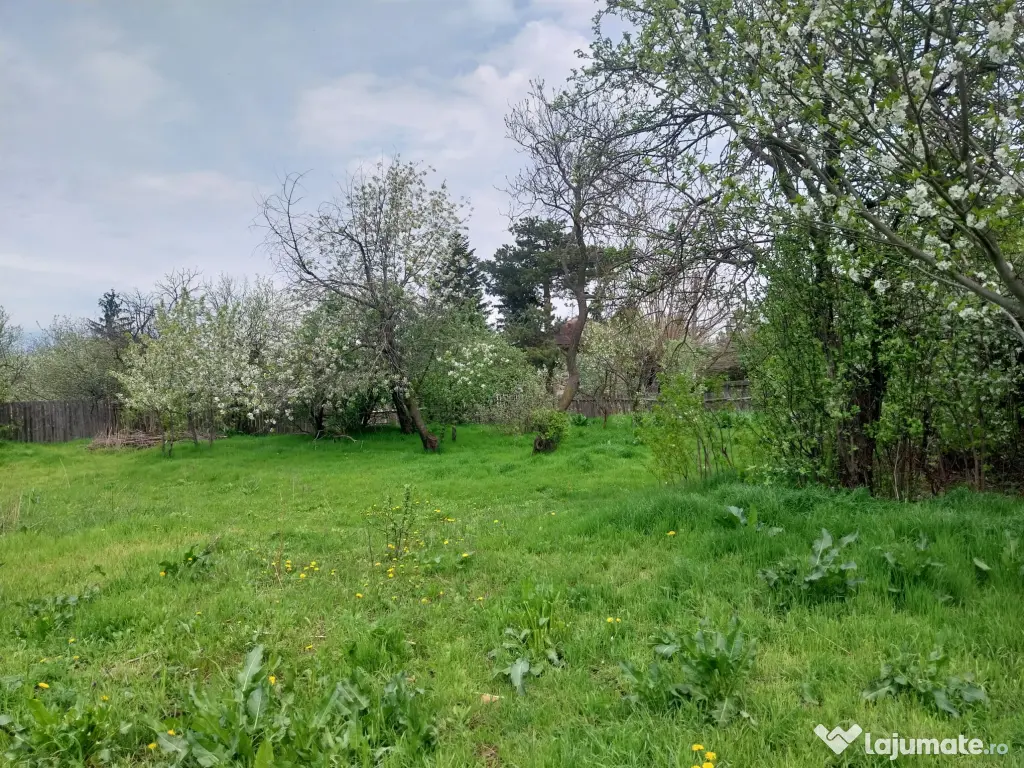 De vânzare – teren + casă bătrânească în Boghești, jud. Vrancea