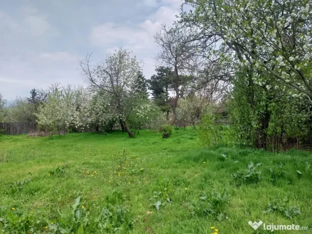 De vânzare – teren + casă bătrânească în Boghești, jud. Vrancea