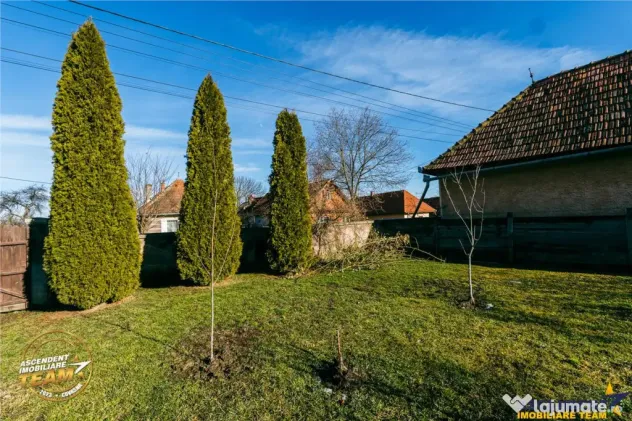 FILM! Casa traditionala, pe domeniu pretios, de 7.608 mp, Ce