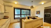 Vila superba 6 camere adiacent Calea Calarasilor