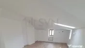 Pache Protopopescu l Vila 380 mp 
