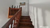 Vila interbelica investitie Buzesti