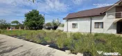 ???? Vilă Impunătoare cu 9.800 mp Teren – Bungetu, Dâmb 