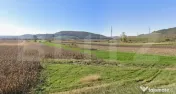 Oportunitate! 59 ari teren agricol la doar 13.000 €. 