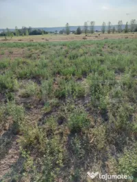 Teren intravilan Craiova, 500 mp, zona Releu, Simnicu de Jos 
