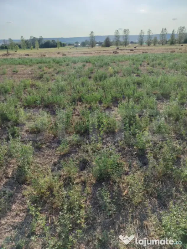 Teren intravilan Craiova, 500 mp, zona Releu, Simnicu de Jos