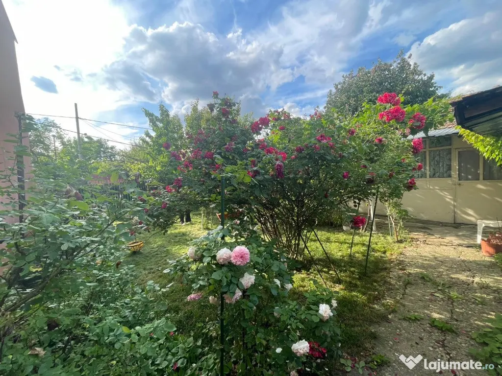 Casă de vânzare in cartierul 23 August (Republica)