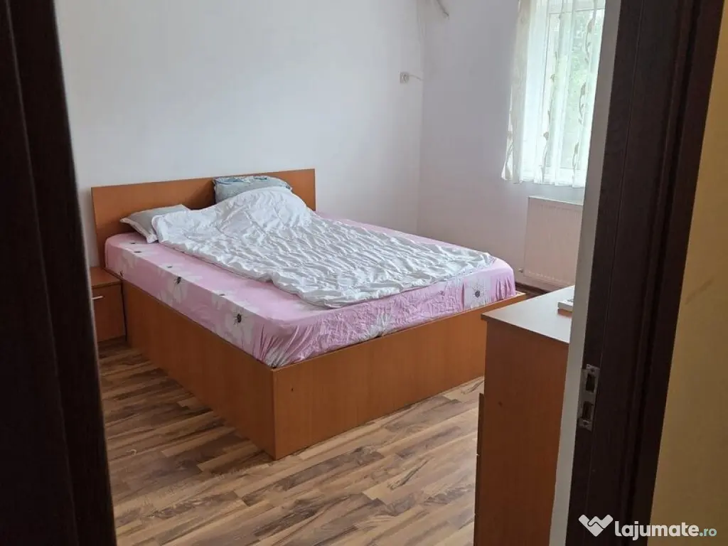 Aparatorii patriei uliesti dimitrie leonida