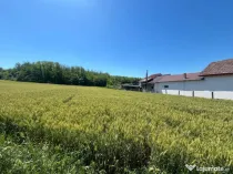 Melinești, Amărăști - Teren intravilan cu vedere la păd