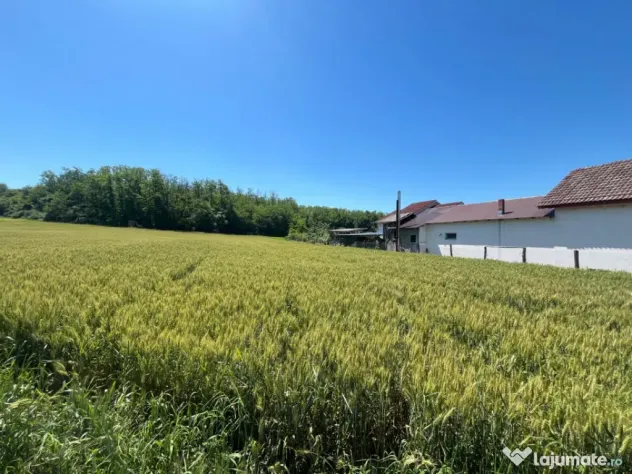 Melinești, Amărăști - Teren intravilan cu vedere la păd