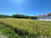 Melinești, Amărăști - Teren intravilan cu vedere la păd 