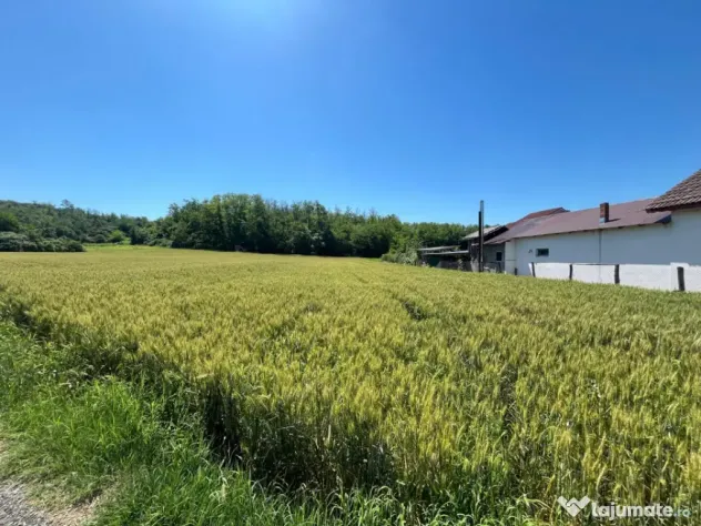 Melinești, Amărăști - Teren intravilan cu vedere la păd