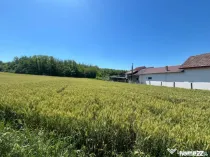 Teren intravilan cu vedere la pădure, 2.533 mp, Melinești,