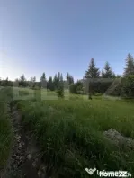Teren intravilan parcelabil de vânzare – Colibița