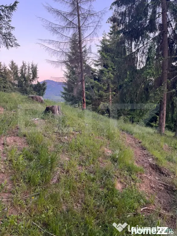 Teren intravilan PARCELABIL de vânzare – Colibița