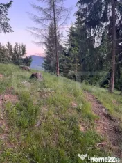 Teren intravilan PARCELABIL de vânzare – Colibița