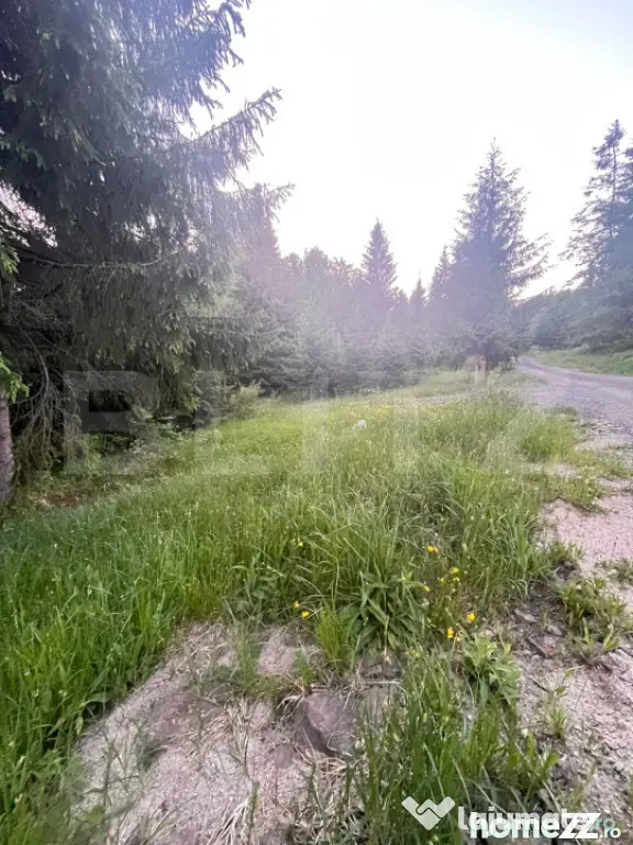 Teren intravilan PARCELABIL de vânzare – Colibița