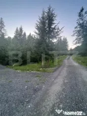 Teren intravilan PARCELABIL de vânzare – Colibița
