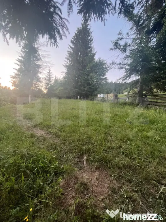 Teren intravilan PARCELABIL de vânzare – Colibița