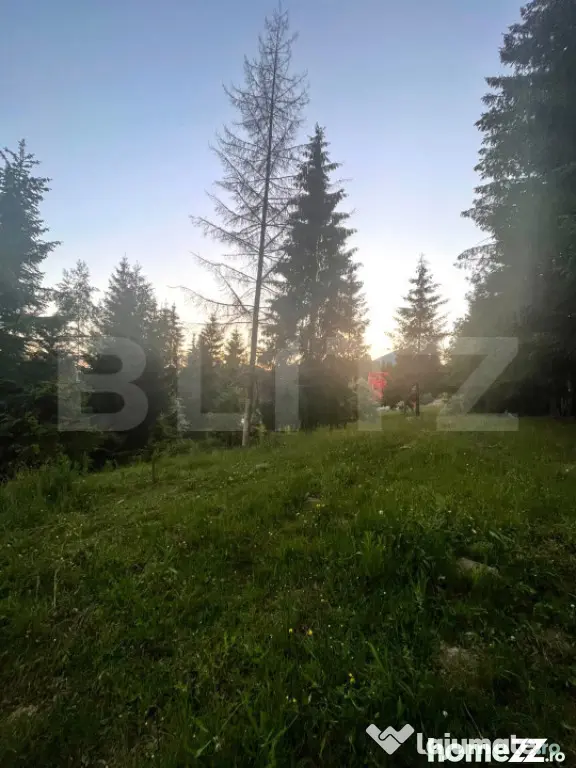 Teren intravilan PARCELABIL de vânzare – Colibița