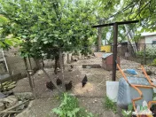 Casa Chiajna 4 camere plus teren 446mp 