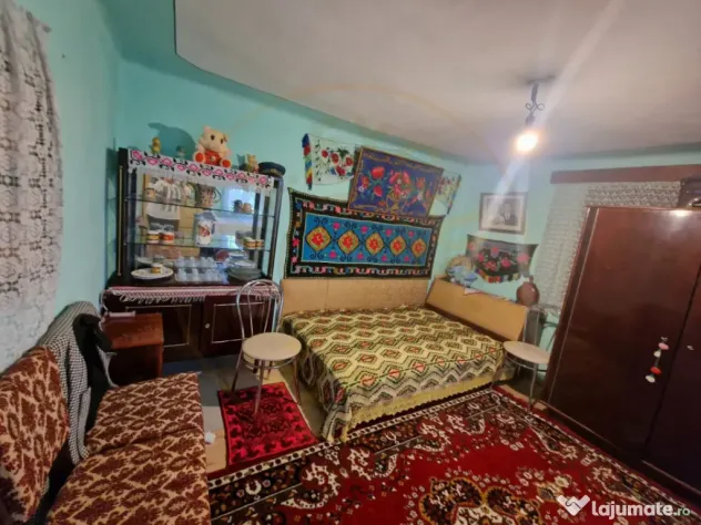 Gospodărie completă și spațioasă -Lunca Corbului- Ciest