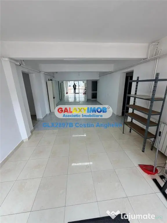 Vila 5 camere investitie - Baneasa Aerogarii