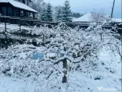 Casa de vanzare, 9 camere, 650 mp - Bran 