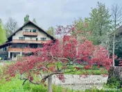 Casa de vanzare, 9 camere, 650 mp - Bran 