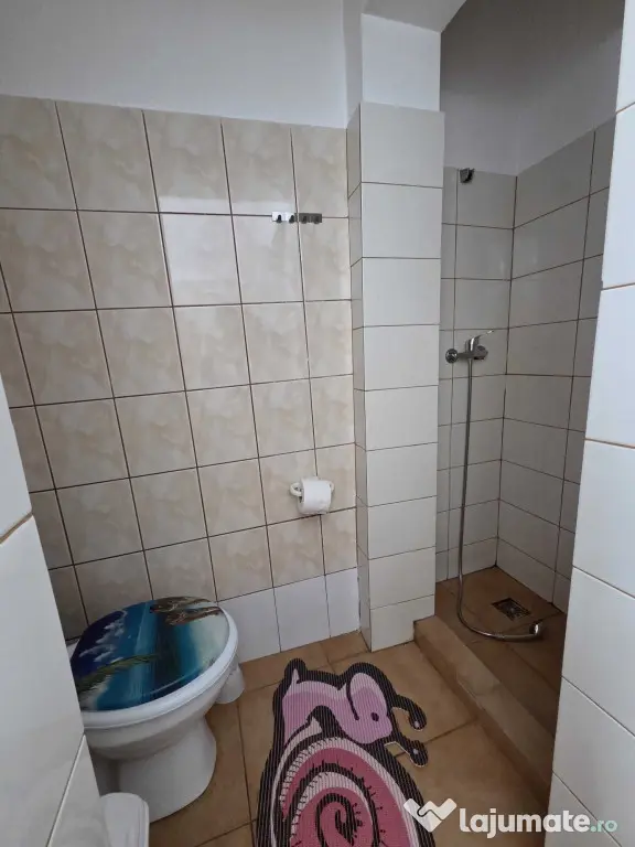 Dristor vila fix la metrou pet friendly