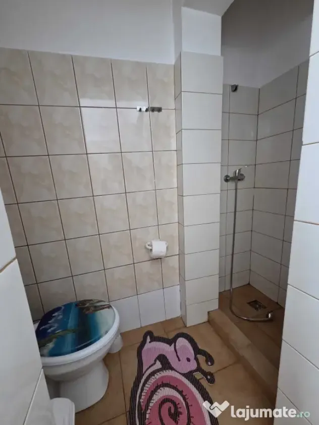 Dristor vila fix la metrou pet friendly