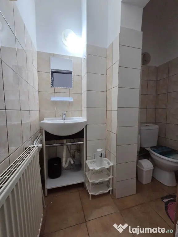 Dristor vila fix la metrou pet friendly