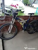 Bicicleta DHS din afara țării noastre
