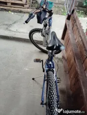 Bicicleta DHS din afara țării noastre 
