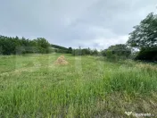 Casa de vanzare 5 camere , garaj si teren 5000 mp