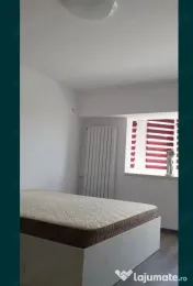Muncii campia libertati 