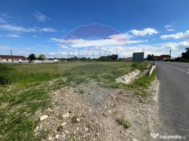 Teren intravilan 3500mp Bizighesti