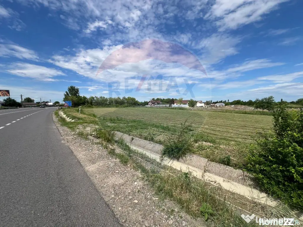 Teren intravilan 3500mp Bizighesti - Bizighesti (Vrancea)