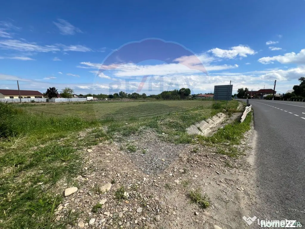 Teren intravilan 3500mp Bizighesti - Bizighesti (Vrancea)