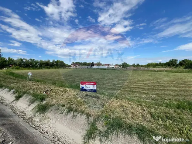 Teren intravilan 3500mp Bizighesti
