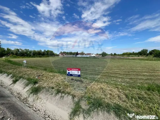 Teren intravilan 3500mp Bizighesti - Bizighesti (Vrancea)